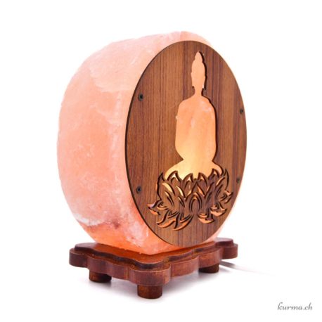 Acheter Lampe de Sel Bouddha Lotus 5kg - N°16173-2 dans la boutique en ligne Kûrma. Spécialisé dans des pierres de qualité directement importer depuis les artisans lapidaires.