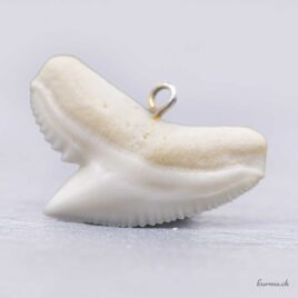 Pendentif en dent de requin