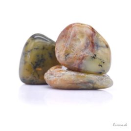 Opale dendritique ‘Opale mousse’ – Pierre roulée – Taille S