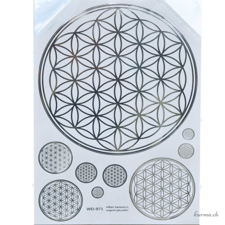 Oracle Messages Des Fleurs De Vie - France