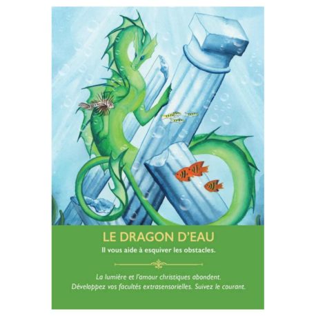 L'oracle des dragons (8) disponible en ligne et dans la boutique Kûrma.