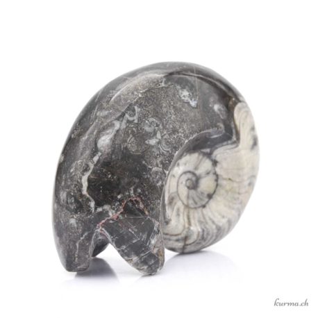 Acheter Minéraux Ammonite 357g - N°9102.22-3 dans la boutique en ligne Kûrma. Magasin suisse de pierre de qualité.