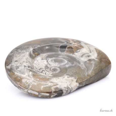 Acheter Minéraux Ammonite 638g - N°9102.23-2 dans la boutique en ligne Kûrma. Magasin suisse de pierre de qualité.