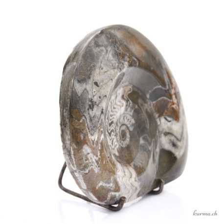 Acheter Minéraux Ammonite 638g - N°9102.23-3 dans la boutique en ligne Kûrma. Magasin suisse de pierre de qualité.