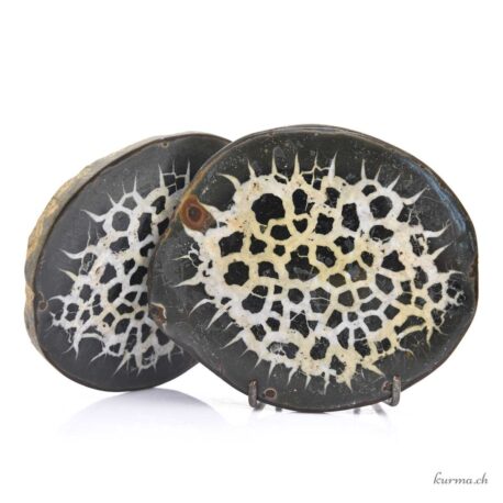 Septaria Geodenpaar - Mineralien