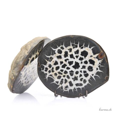 Septaria Geodenpaar - Mineralien