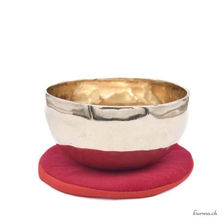 XDrum Omshanti Bol Chantant Tibétain 25 Cm Avec Coussin - Bol De Méditation Martelé à La Main En Alliage 7 Métaux