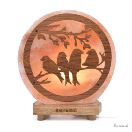 Lampe de sel de l’Himalaya Esoterra – Oiseau – 5KG – N°17344