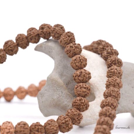 Rudraksha Marron 9.5x8mm 80-90cm - N°16962-2 disponible en ligne et dans la boutique Kûrma.