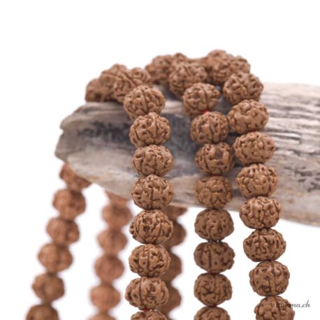 Rudraksha Marron 9.5x8mm 80-90cm - N°16962-3 disponible en ligne et dans la boutique Kûrma.