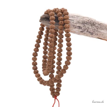 Rudraksha Marron 9.5x8mm 80-90cm - N°16962-4 disponible en ligne et dans la boutique Kûrma.