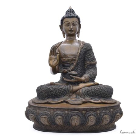 Buddha-Statue Medizin