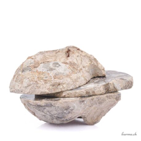Ammonite triple - Minéraux - 1241gr