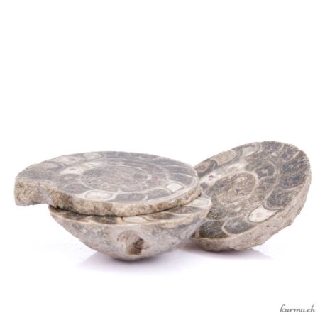 Ammonite triple - Minéraux - 1241gr