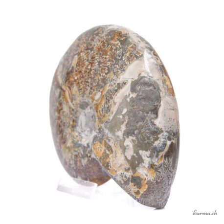 Minéraux Ammonite 600g - N°9102.3-2 disponible en ligne et dans la boutique Kûrma.