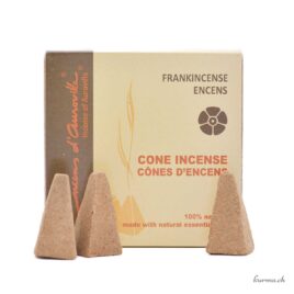 Encens en cône d’Auroville – Frankincense – N°17762