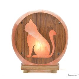 Lampe de sel de l'Himalaya - Esoterra - Chat - 5KG