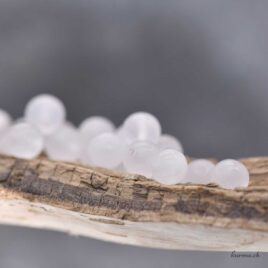 Perles Calcite rose 6mm