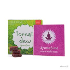 Encens Aromafume en brique - Forest Dew