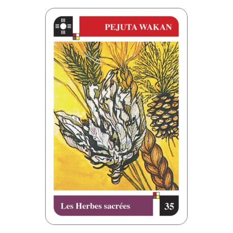 Oracle cards - Sioux shamanic divination