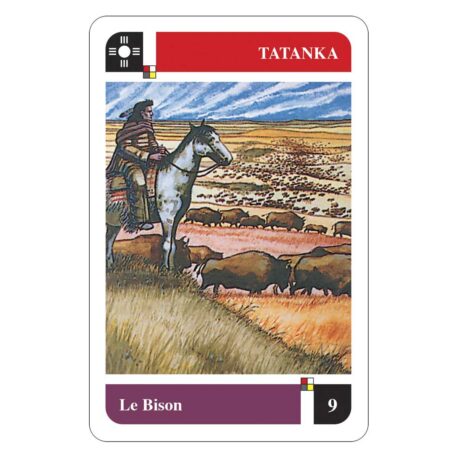 Oracle cards - Sioux shamanic divination