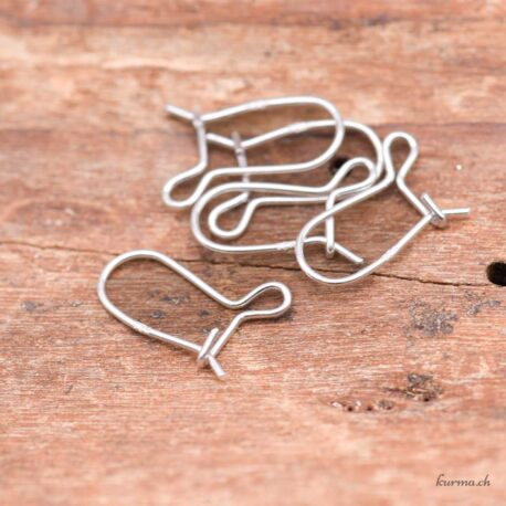 Boucles d'oreilles crochets dormeuses - 13mm - Argent 925