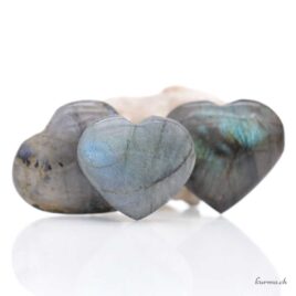 Coeur Labradorite 2.5 à 3cm