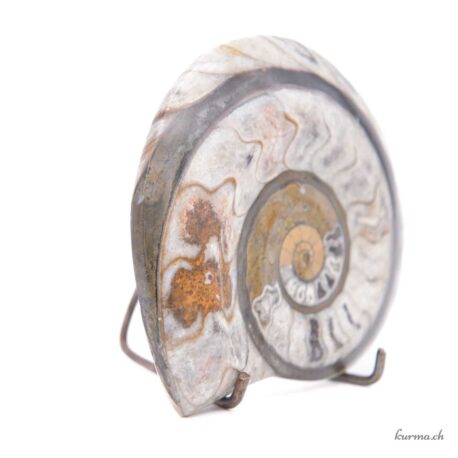 Ammonit - Mineralien - 272gr