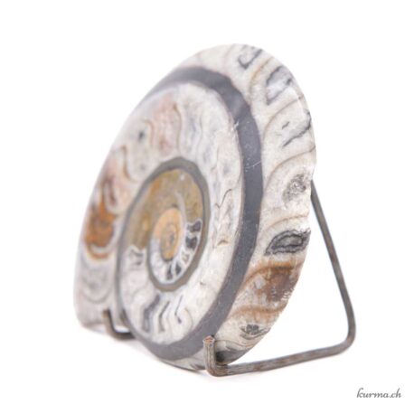 Ammonit - Mineralien - 272gr