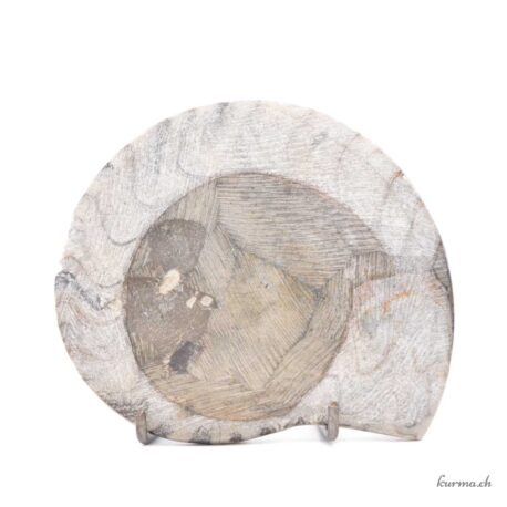 Ammonit - Mineralien - 272gr