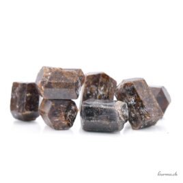 Dravite – Minéraux – Taille L – N°2860.6