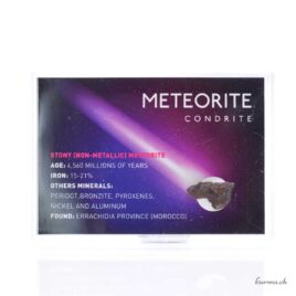Météorite Condrite - Minéraux