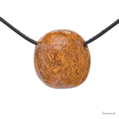 Jaspe serpent - Pendentif pierre percée