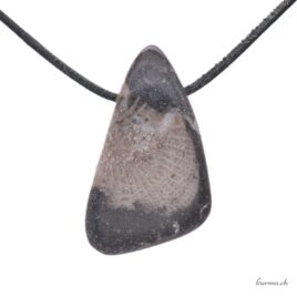 Mabre fossile - Pendentif en pierre percée