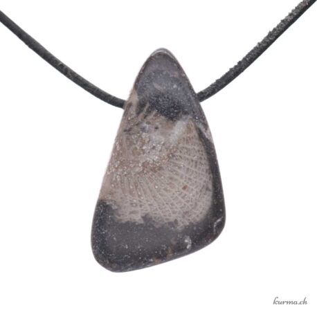 Mabre Fossil - Anhänger aus durchbohrtem Stein