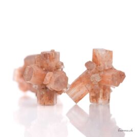 Aragonite - Minéraux - Taille S