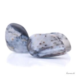 Bunch of tumbled dendritic agate - 100 g