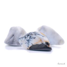 Agate dendritique - Pierre roulée - Taille S