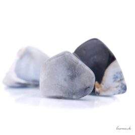 Agate dendritique - Pierre roulée - Taille M