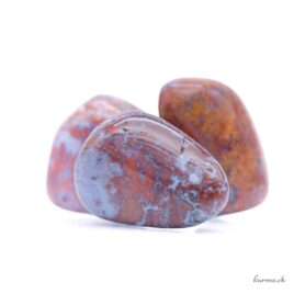 Agate Mousse rouge - Pierre roulée - Taille M