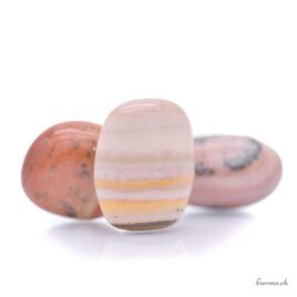 Brown beige Dolomite - Rolled stone - Size S