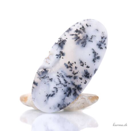 Agata dendritica Cabochon