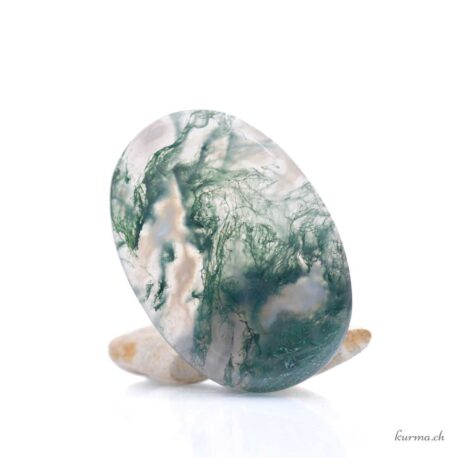 Agata muschiata Cabochon