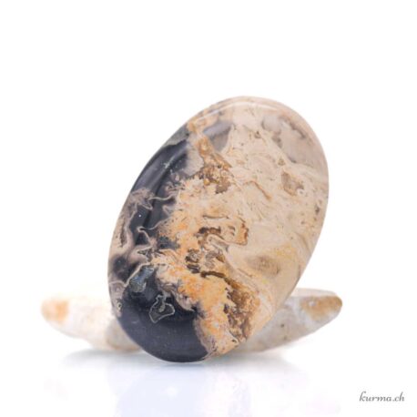 Radice pietrificata di bambù cabochon