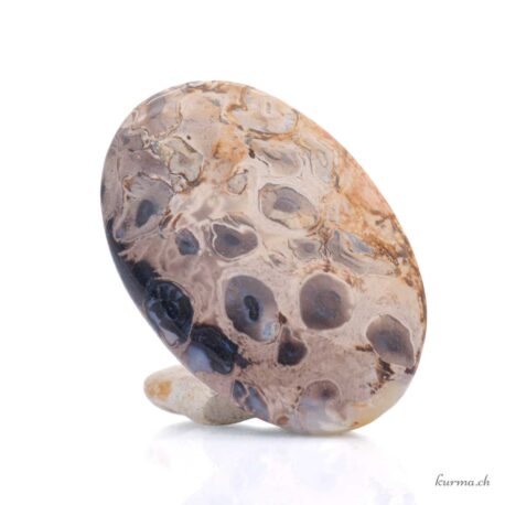 Radice pietrificata di bambù cabochon