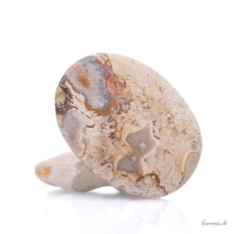 Radice pietrificata di bambù cabochon