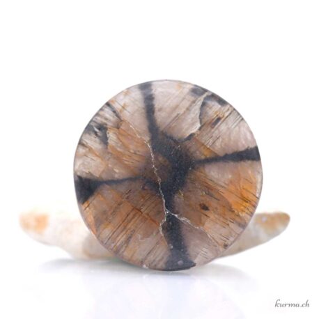 Chiastolite cabochon