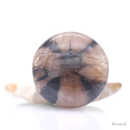 Chiastolite cabochon
