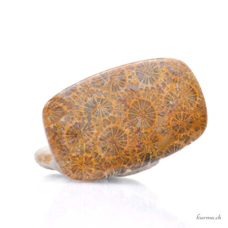 Cabochon di corallo fossilizzato