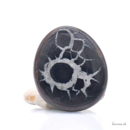 Septaria marrone cabochon